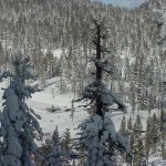 View of Canyon Lodge from Timber Ridge #45, #47, and #48