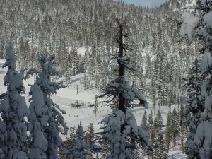 View of Canyon Lodge from Timber Ridge #45, #47, and #48