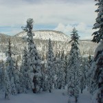 Timber Ridge 45 Snow View